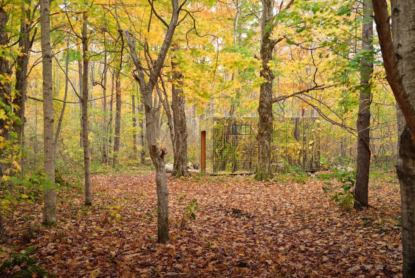 Mirrored Arcana cabin reflecting the trees in an autumn forest carpeted with fallen leaves