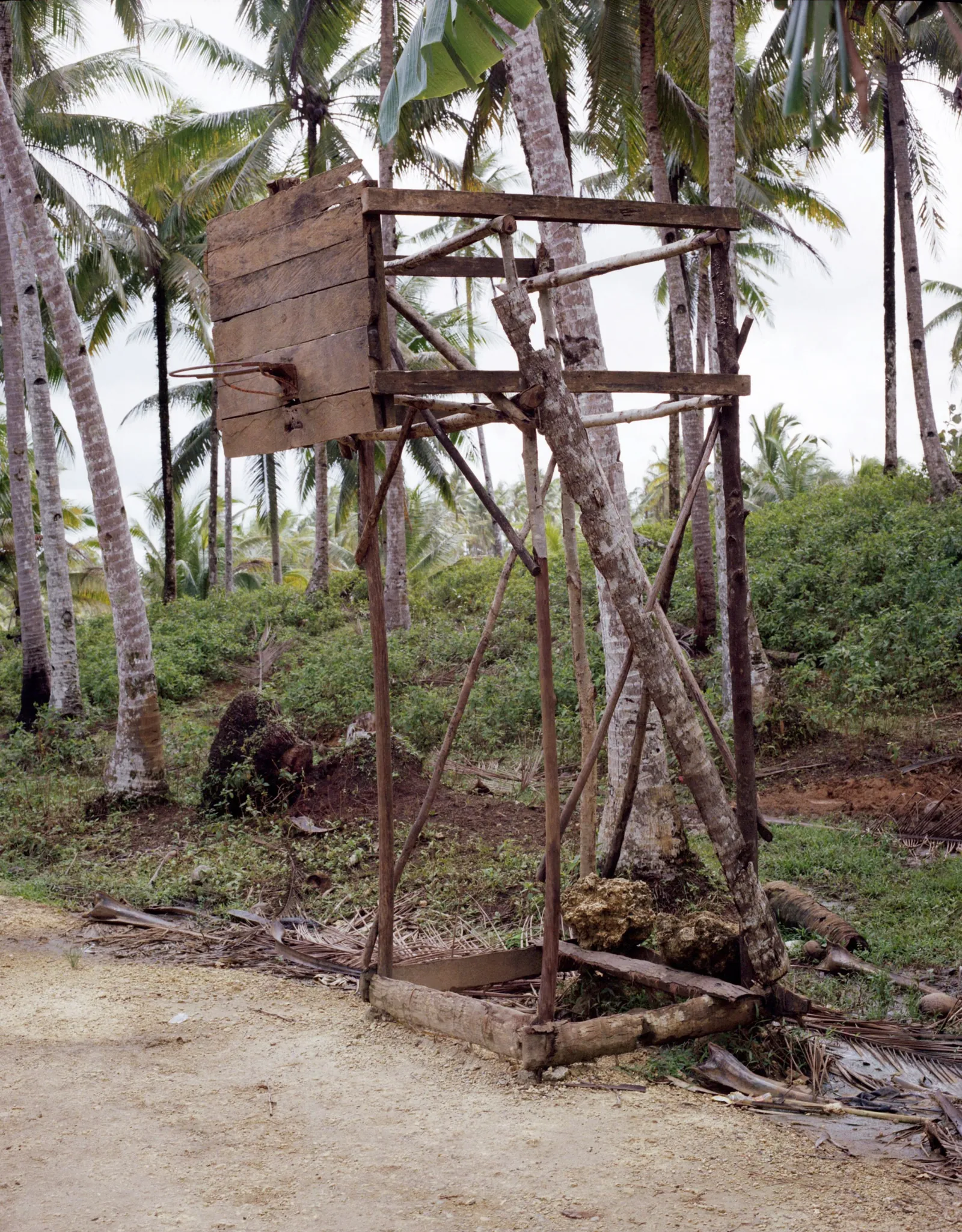 Makeshift hoop built from wooden planks and branches on a dirt road among coconut palms