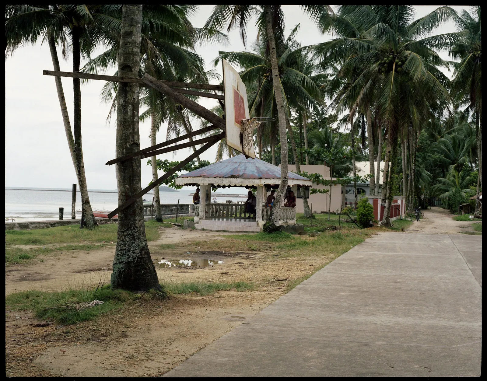 Beyond the Backboard: The Philippines' Love Affair with Basketball