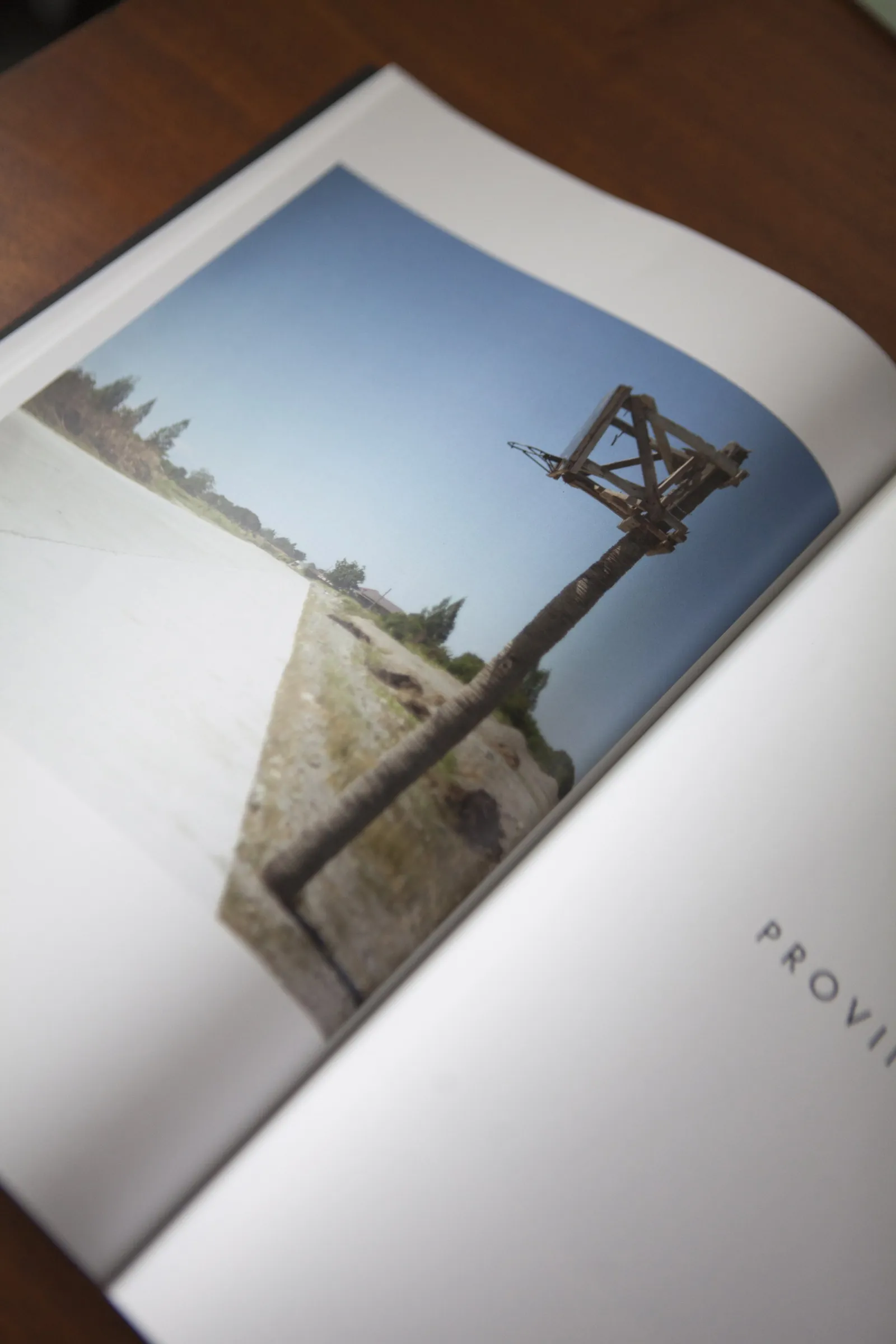 Open book showing a photo of a wooden backboard on a leaning trunk beside a concrete road