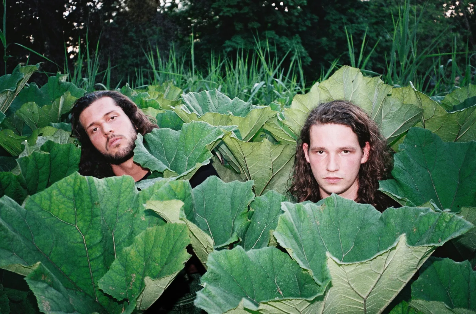 Daniel de Jong and Daniel Elvis Schoemaker of Feng Suave among giant green leaves